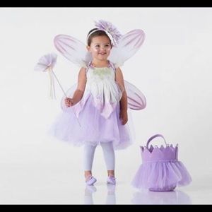 Pottery Barn Kids Fairy Costume